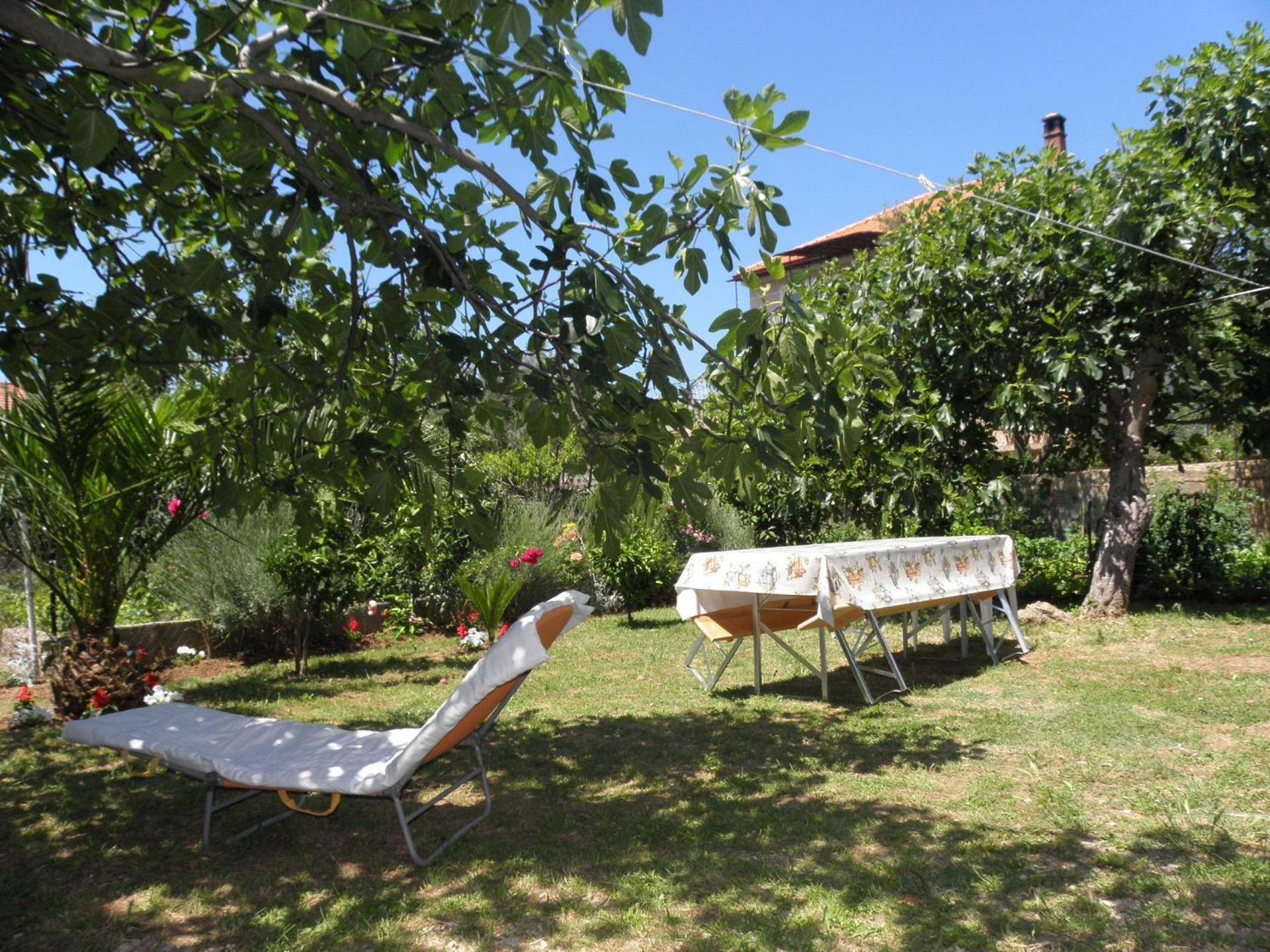 Apartments Zvone - 100 M From Sea Bibinje Zewnętrze zdjęcie