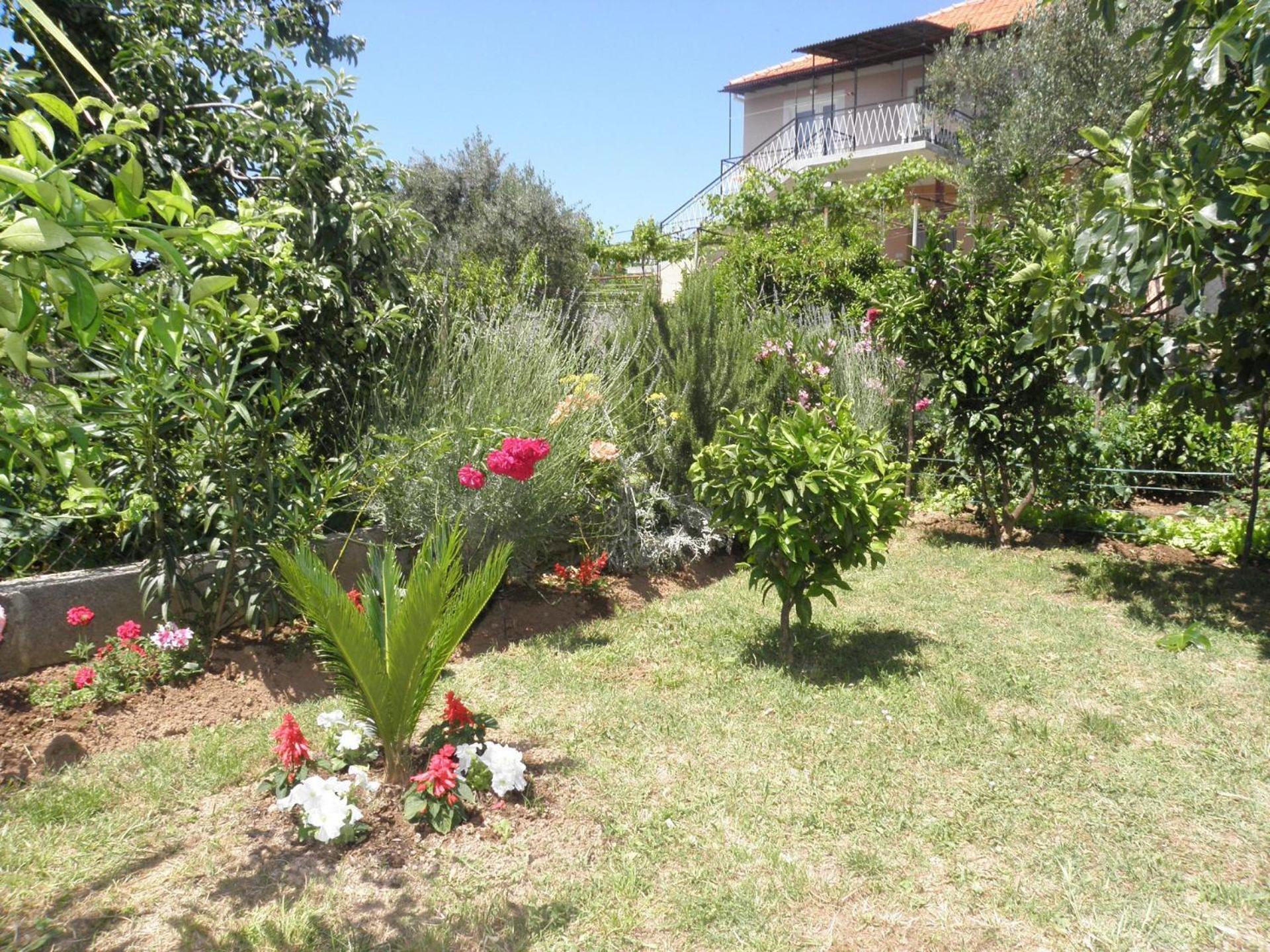 Apartments Zvone - 100 M From Sea Bibinje Zewnętrze zdjęcie